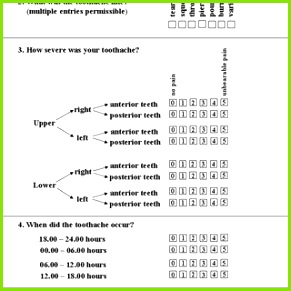 Fig 2 Modified 5 item questionnaire for evaluating pain at 6 30