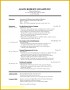 6 Fallstudienvorlage