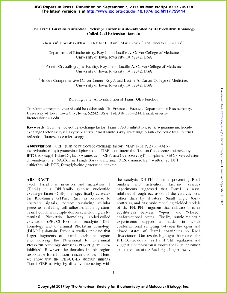 PDF In vitro GEF and GAP assays