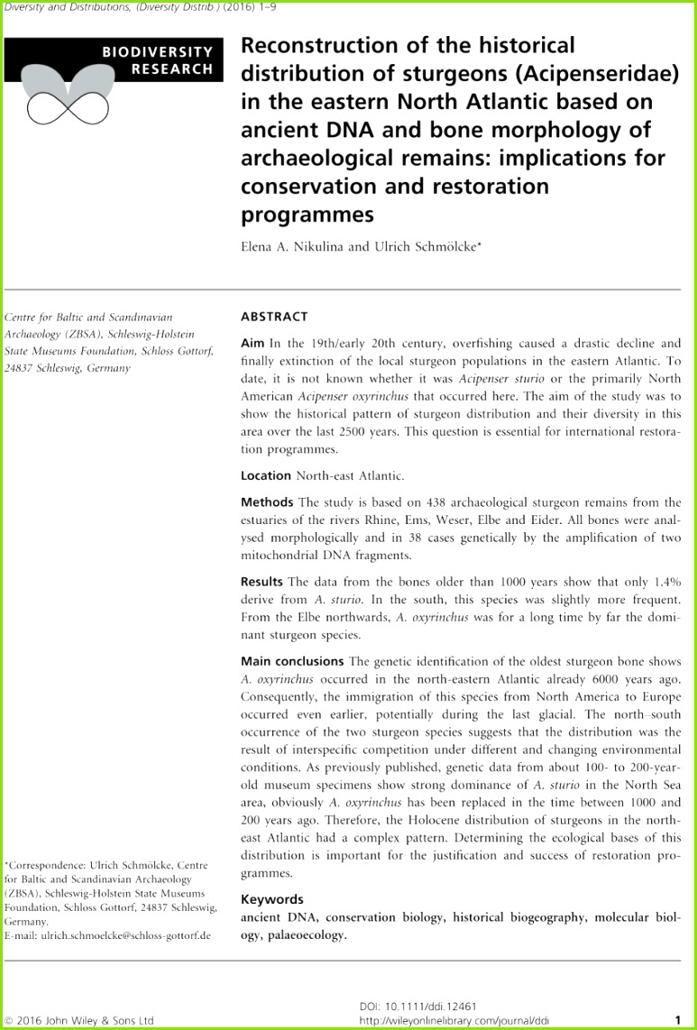 PDF Prehistoric Settlements in the south western Baltic Sea area and Development of the Regional Stone Age Economy