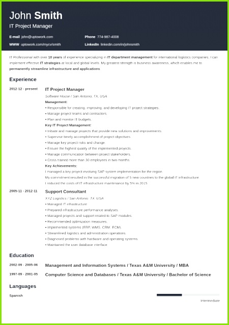 Free Professional Resume Template Basic Resume Professional Resume Examples My Resume Free