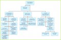 5 Leere organigramm-beispiele