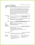 3 Microsoft Resume-vorlagen