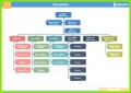 3 organisationsdiagrammvorlage