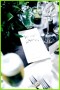 6 Ultimative Hochzeit to Do List Für Hochzeitsplanung