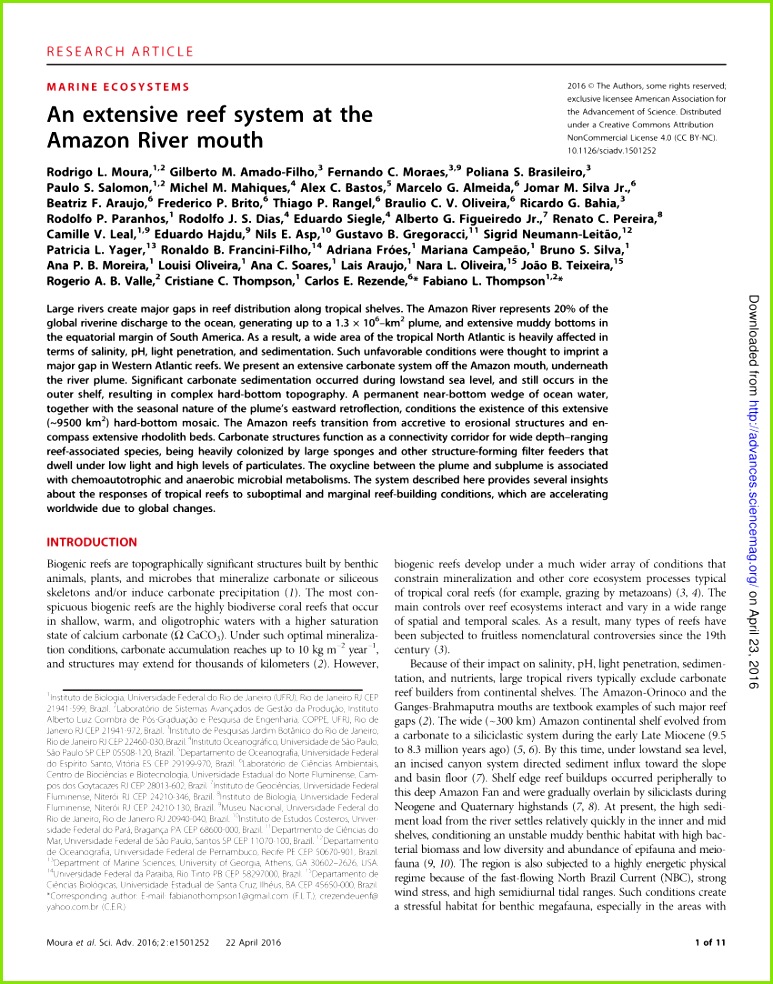 PDF The Amazon at sea set and stages of the Amazon River from a marine record in the Foz do Amazonas Basin Brazilian Equatorial Margin with special