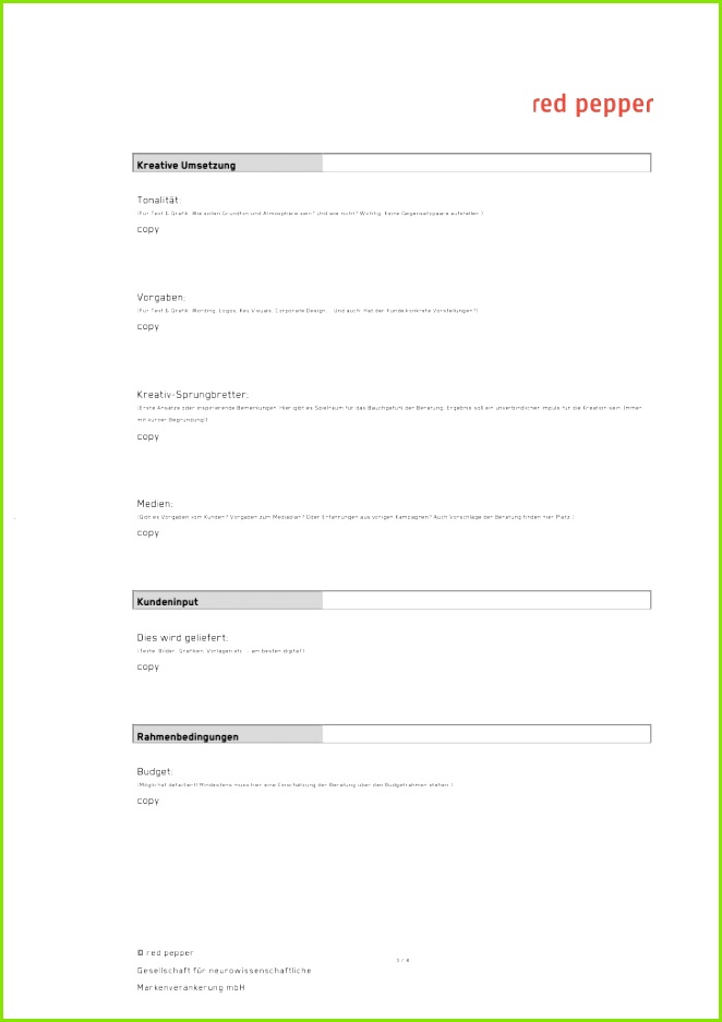Briefingvorlage Pdf 3 728