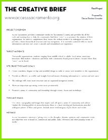 Project Creative Brief