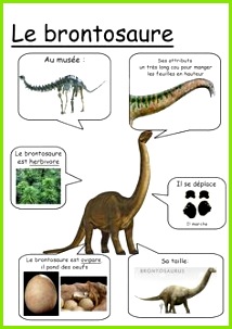 Fiche brontosaure …