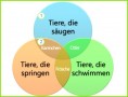 6 Dreifache Venn-diagrammvorlage