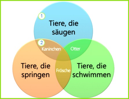 Venn Diagramm