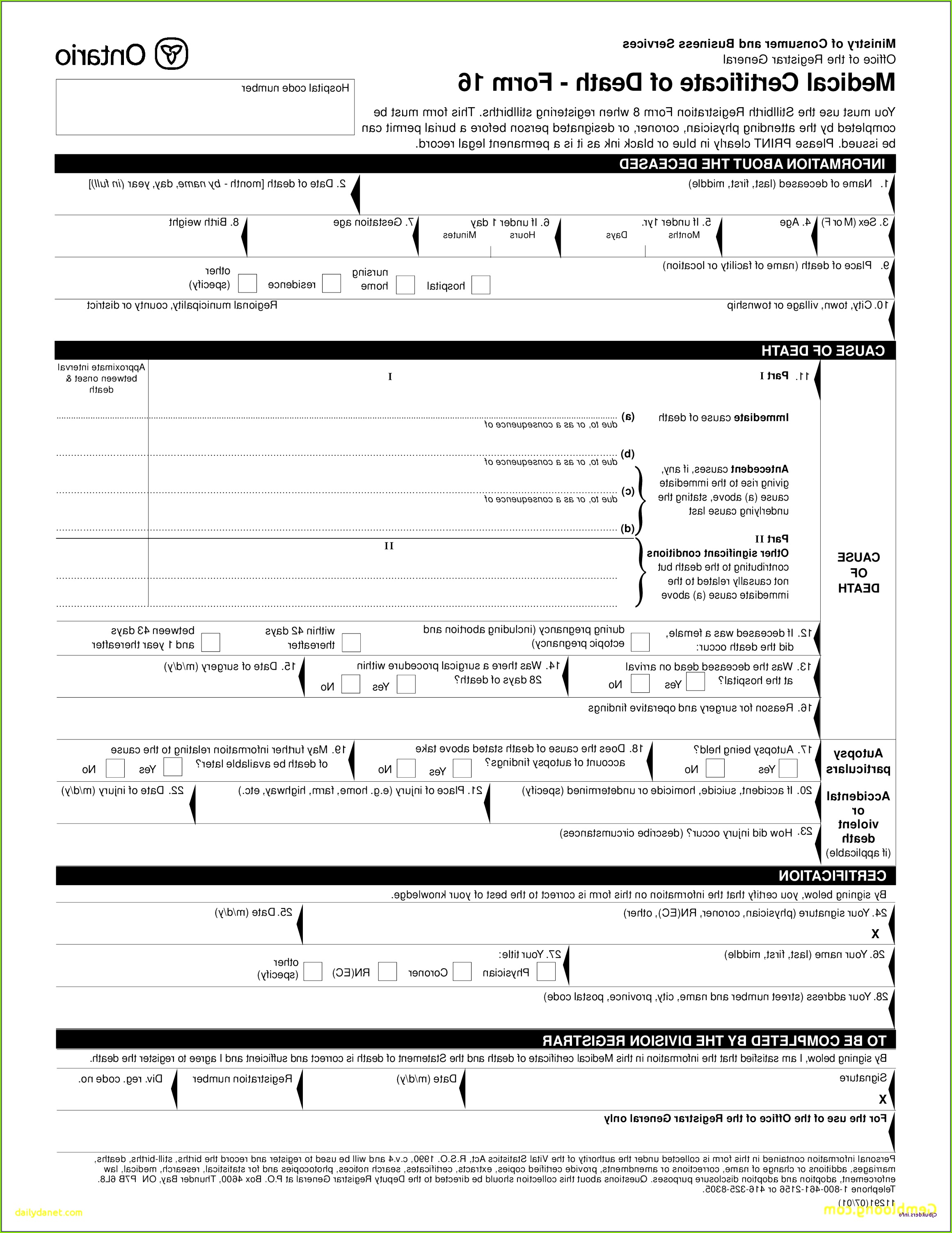 Free Website Template Free Download Website Templates Elegant Design Free Downloading Free Website Template 27