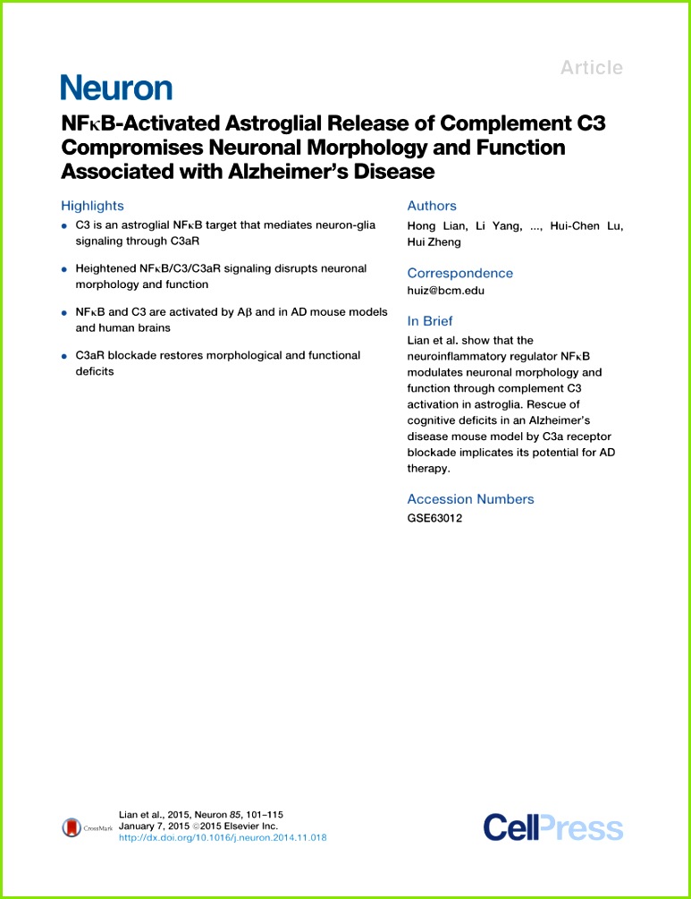 PDF Do Glia Drive Synaptic and Cognitive Impairment in Disease