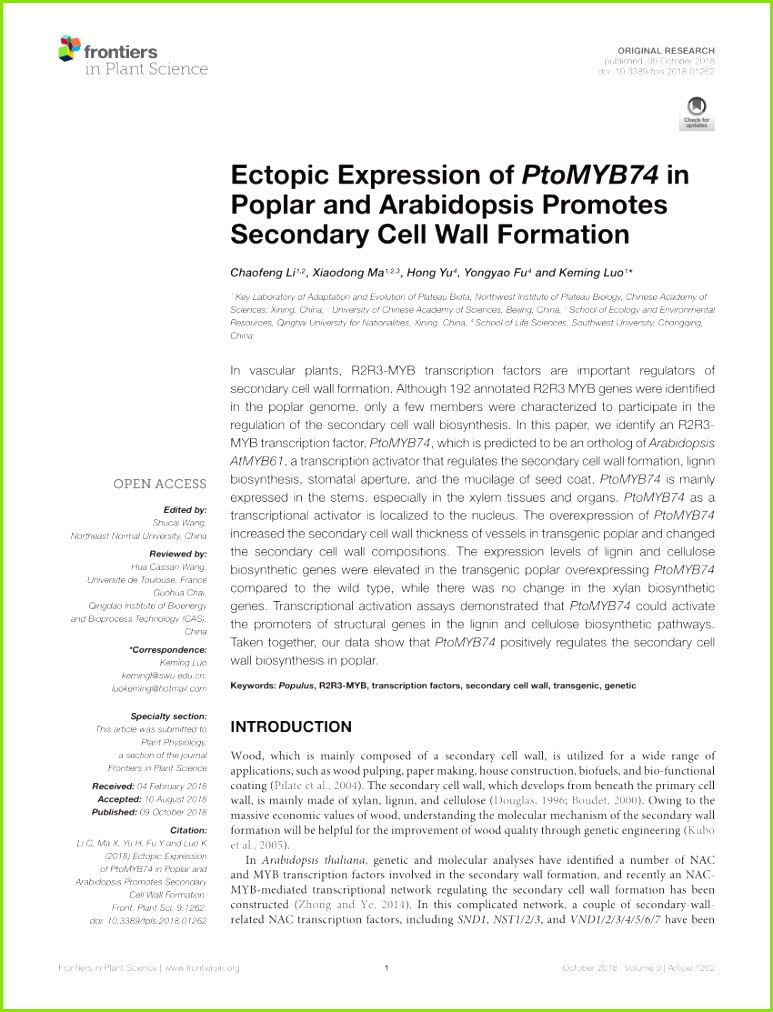 PDF Caffeoyl Shikimate Esterase CSE Is an Enzyme in the Lignin Biosynthetic Pathway