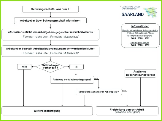 Schwangerschaft was nun Infoblatt zum Ablauf der erforderlichen Maßnahmen