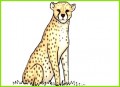 3 Gepard-vorlage