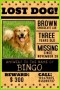 6 Lost Dog Vorlage