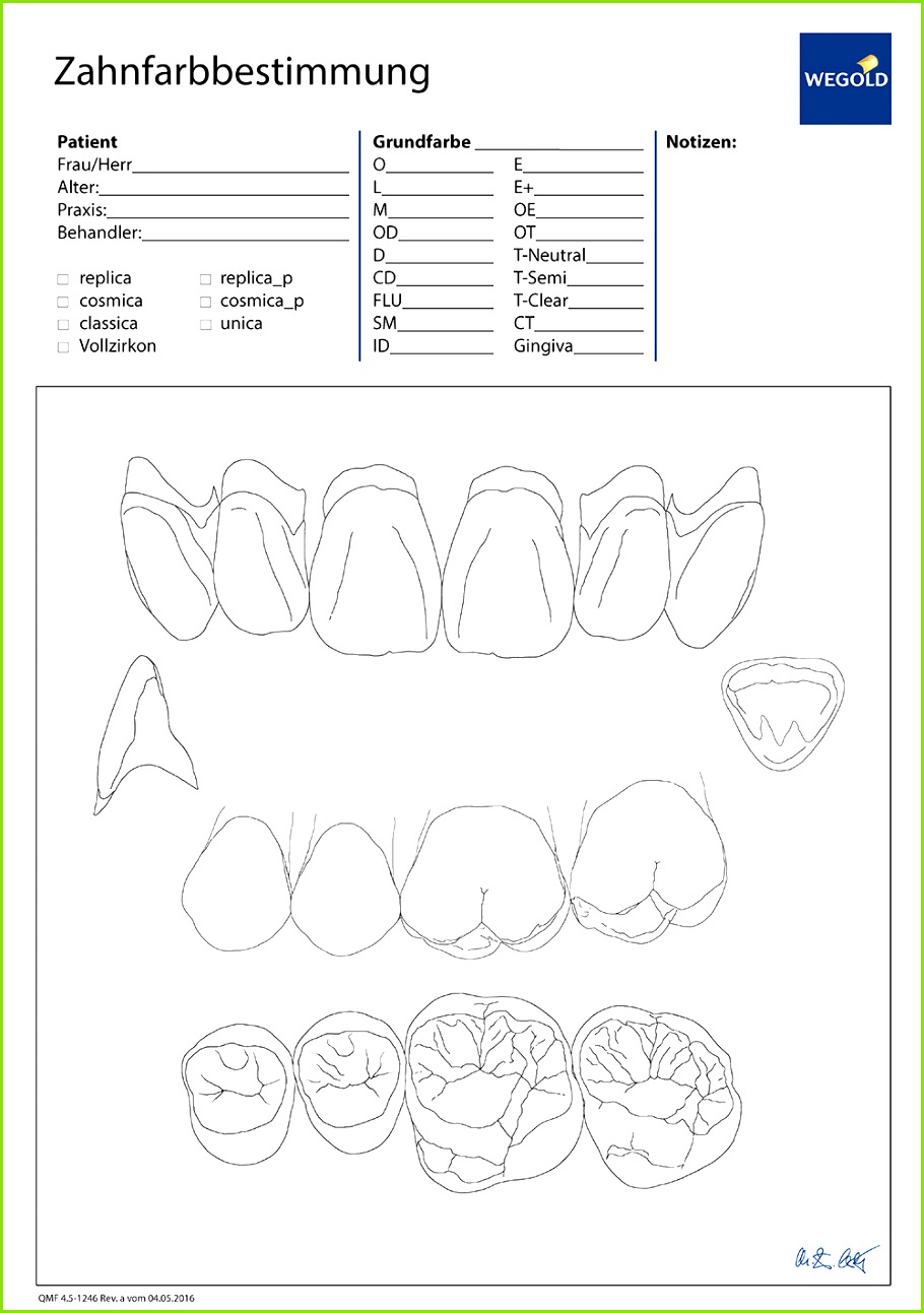 Vorlage für Zahnfarbenauswahl sie umfasst Skizzen von Front und Seitenzähnen aus unterschiedlichen Perspektiven das erspart Ihnen Zeit