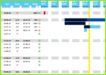 Excel Projektplan hellblau
