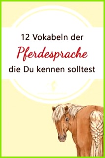 12 Vokabeln der Pferdesprache Du kennen solltest