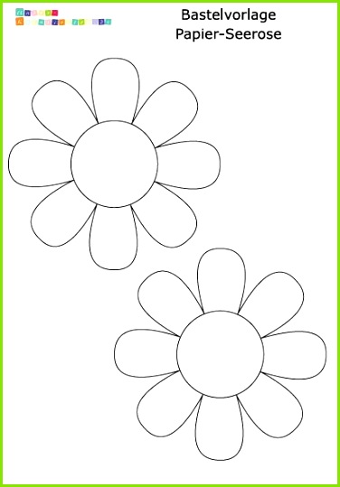 Papierseerose im Wasser aufblüht