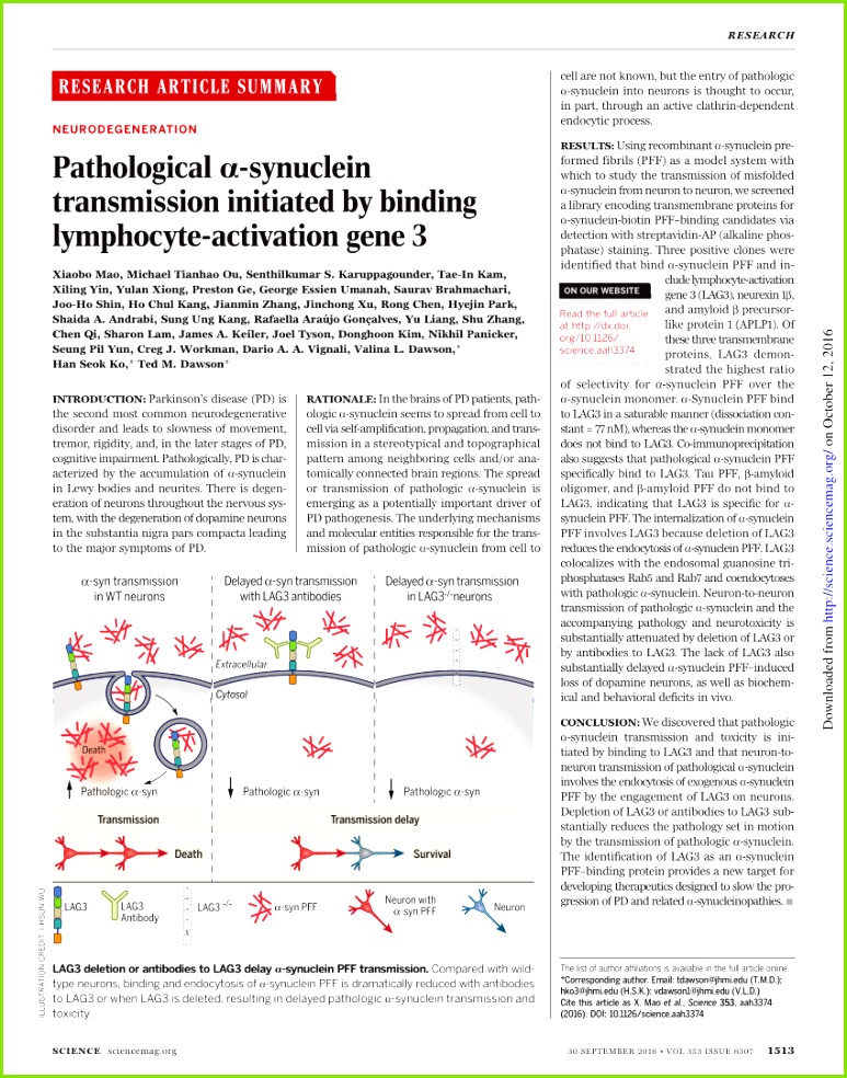 PDF Pathological synuclein transmission initiated by binding lymphocyte activation gene 3