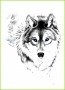 6 Wolf-vorlage
