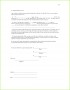 3 Firmenpapier Vorlage