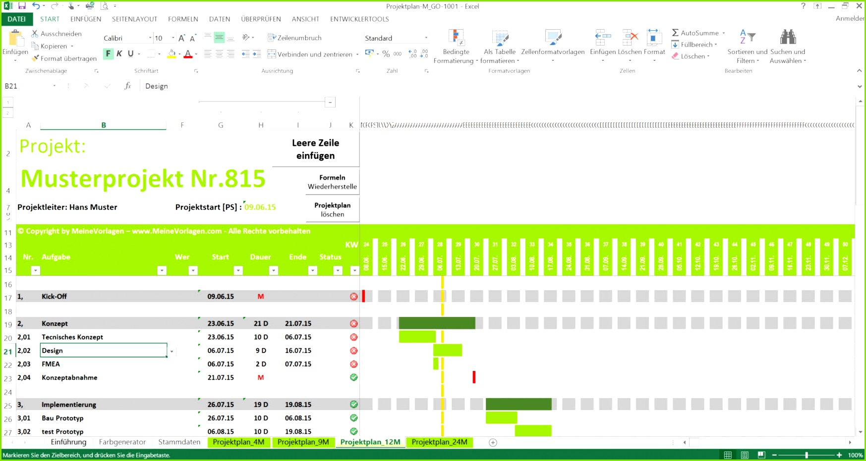 Excel Projektplan 12 Monate