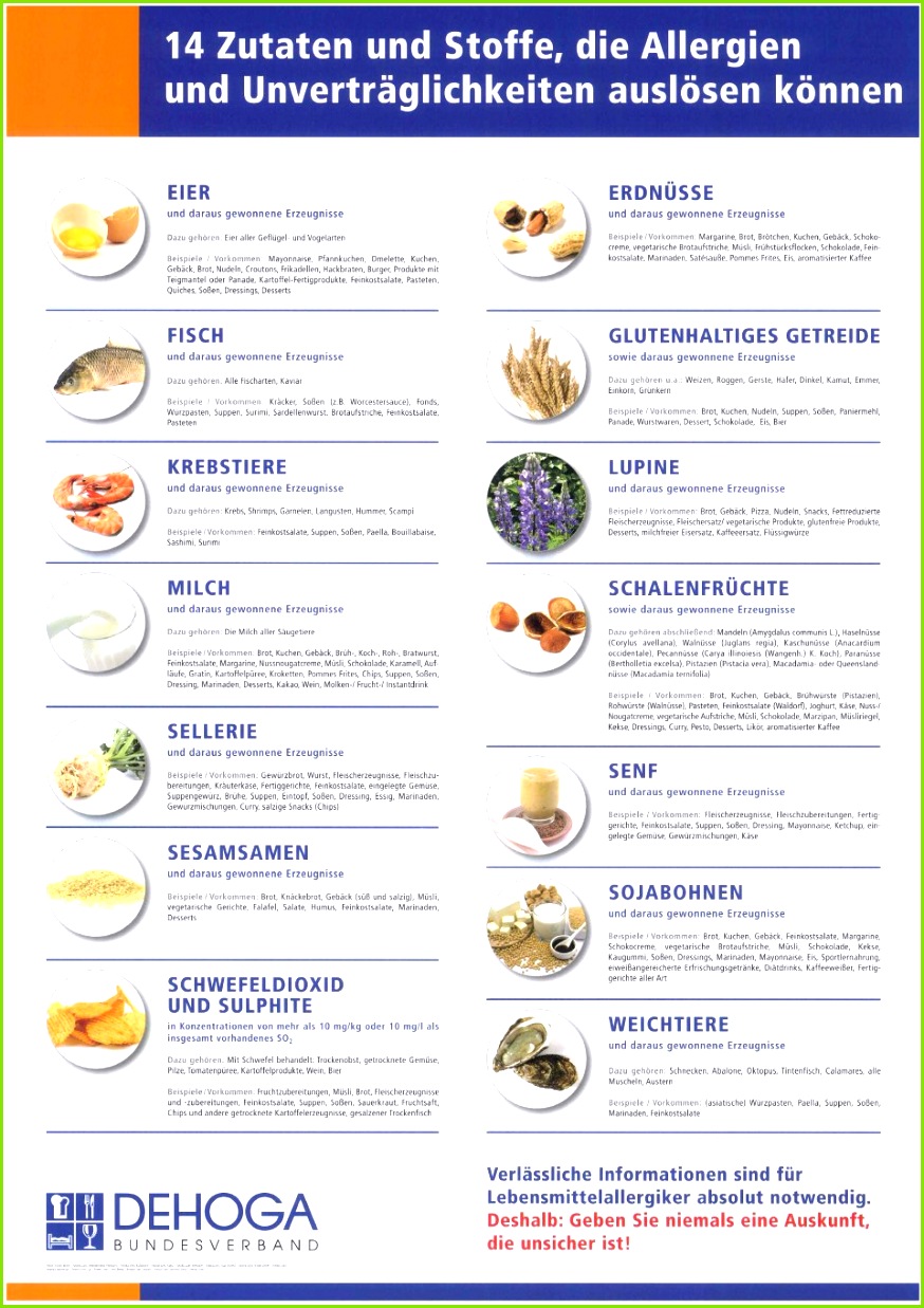 Neues Allergene Speisekarte Vorlage 8741237 DEHOGA Allergenplakat