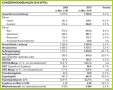 3 Gewinn Und Verlustrechnung Vorlage Pdf
