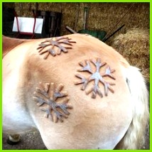 Die 23 besten Bilder von Schermuster 214214 Check this picture isn t that amazing