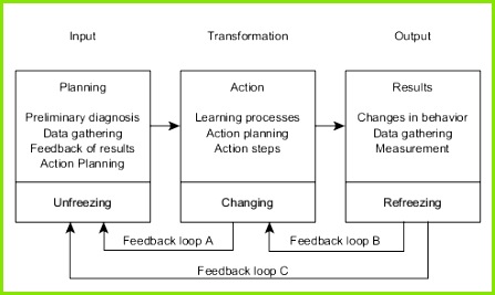 Action research in organization development[edit]