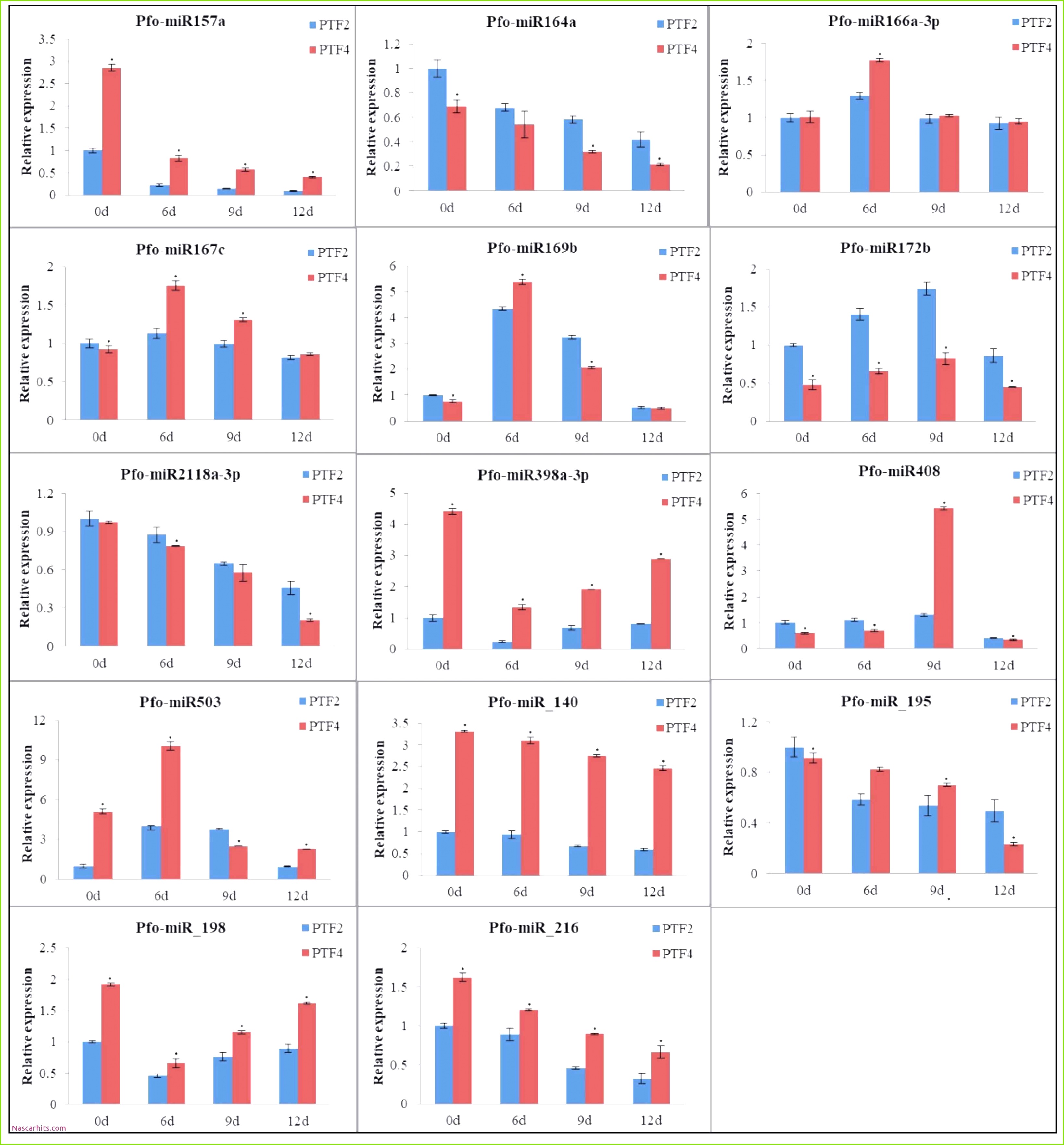 Resume Layout Samples New Conflict Minerals Reporting Template Best Post Title 0d Microsoft Inspirational New Youtube
