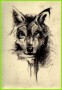 3 Wolf Tattoo Vorlage